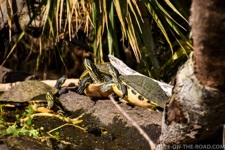 Wekiwa State Park, Orlando, FL