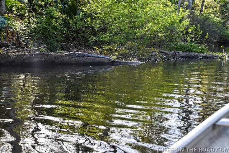 Wekiwa State Park, Orlando, FL