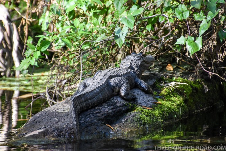 Wekiwa State Park, Orlando, FL