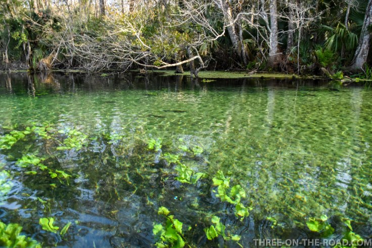 Wekiwa State Park, Orlando, FL
