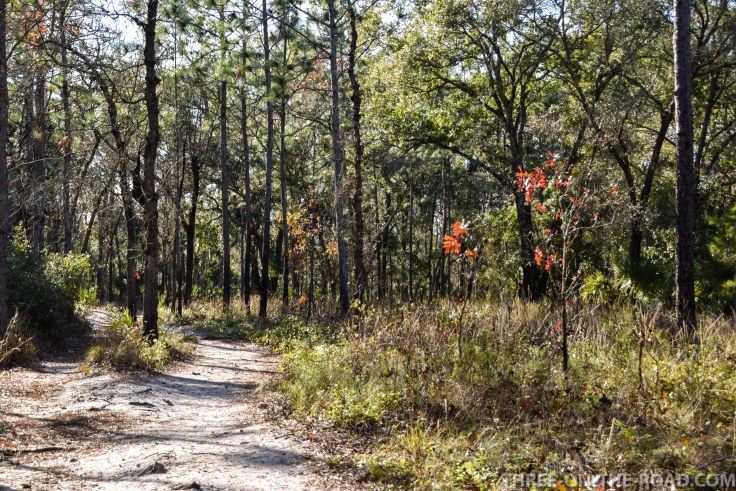 Wekiwa State Park, Orlando, FL