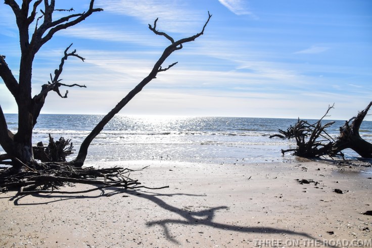 Botany Bay Plantation, Edisto, SC